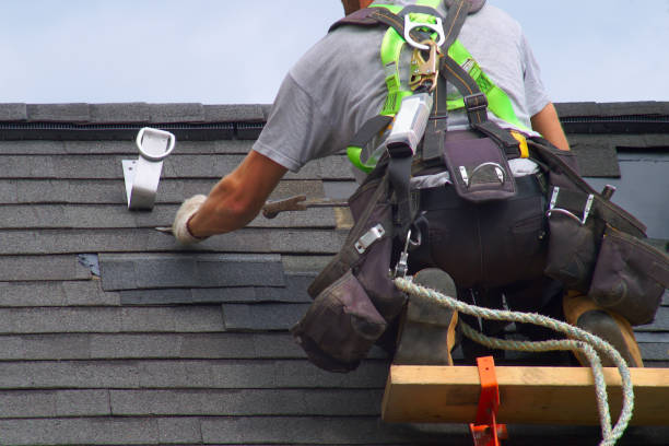 Best Roof Gutter Cleaning  in South Charleston, OH